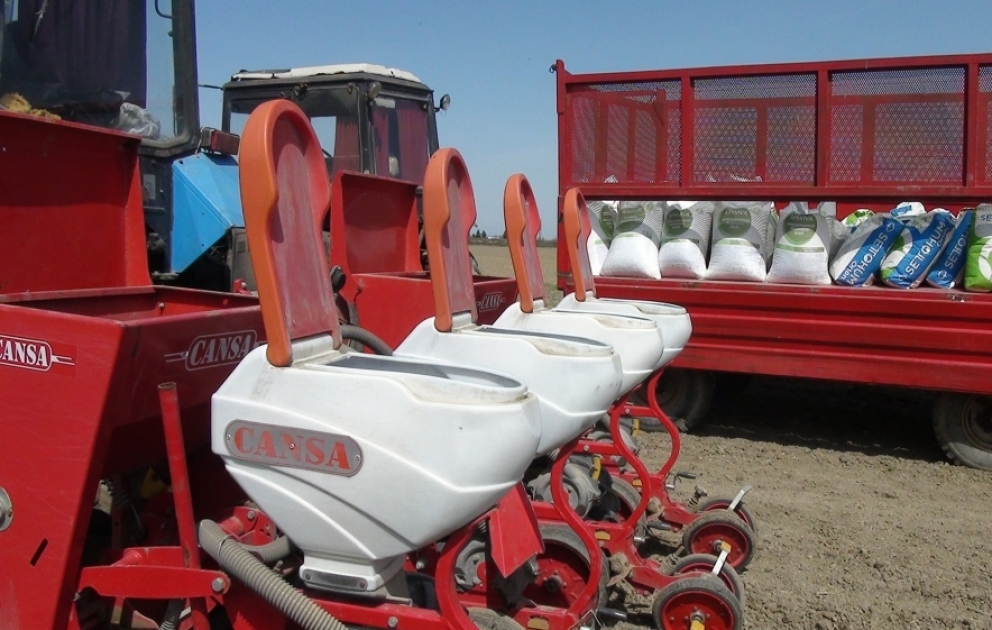 Sabirabadda pambıq səpininə start verilib FOTO VİDEO