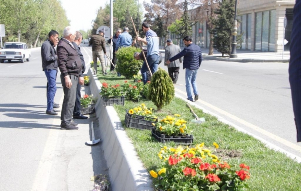 Yevlaxda ümumşəhər iməciliyi keçirilib VİDEO