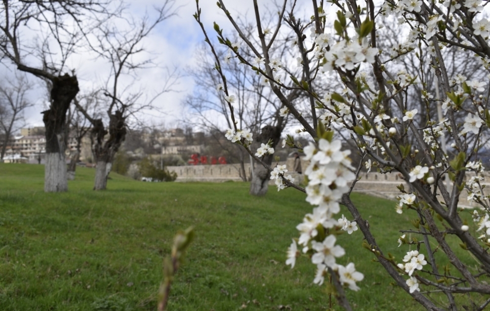 Bahar Şuşaya bir başqa növraqda gəlir FOTO VİDEO
