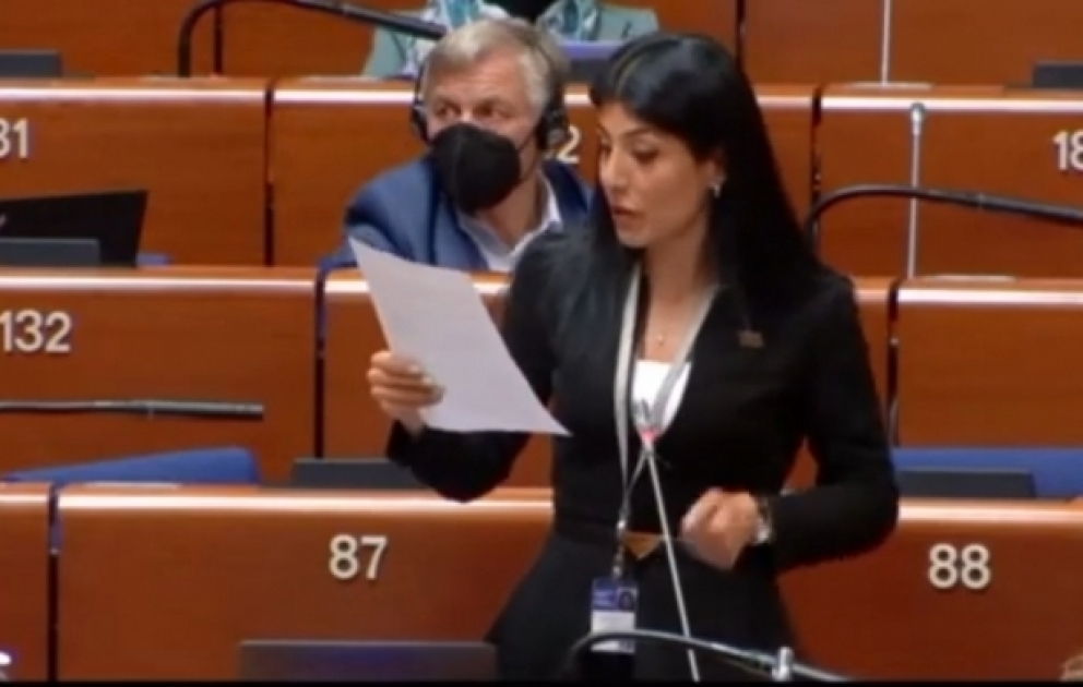Nigar Arpadarai: Ermənilər məkrli niyyətlərinə son qoymalıdırlar VİDEO