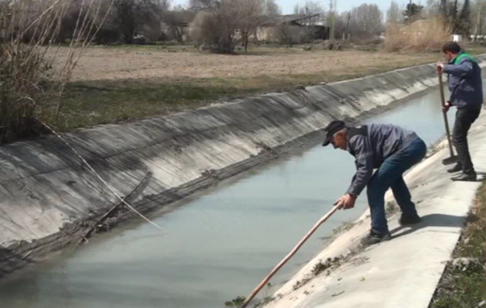 Ucarda meliorativ tədbirlər uğurla davam edir, suvarma mütəşəkkil aparılır VİDEO
