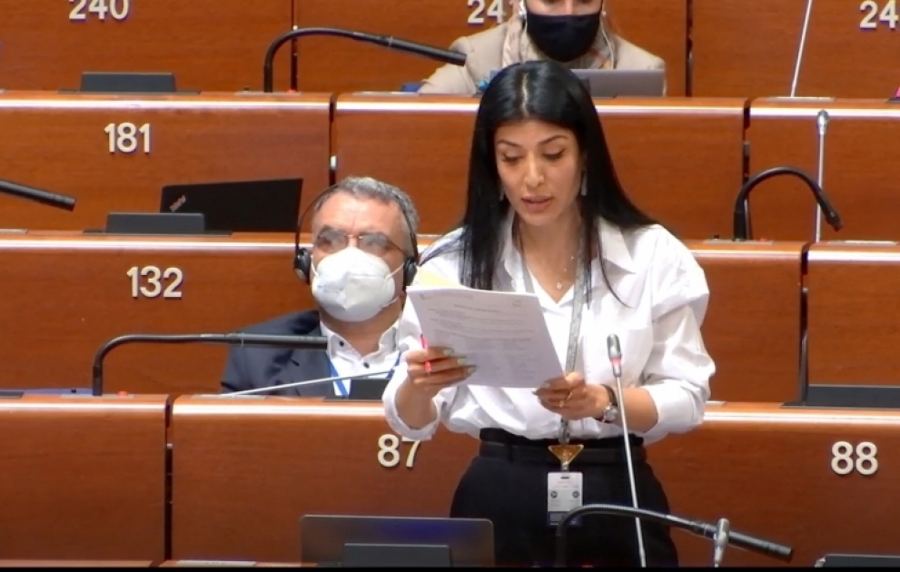 Nigar Arpadarai: Separatizm və ərazi iddiaları son onilliklərdə qitəmizin təhlükəsizlik sisteminə ən böyük təhdidlərdir VİDEO