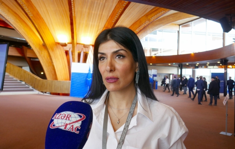 Nigar Arpadarai: Avropa məkanındakı bütün təsisatların islahata ehtiyacı var VİDEO