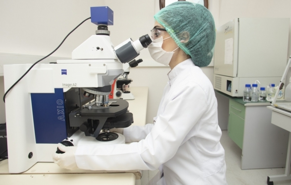 Ötən il Mərkəzi Fitosanitar Laboratoriyada 46 mindən çox müayinə aparılıb VİDEO
