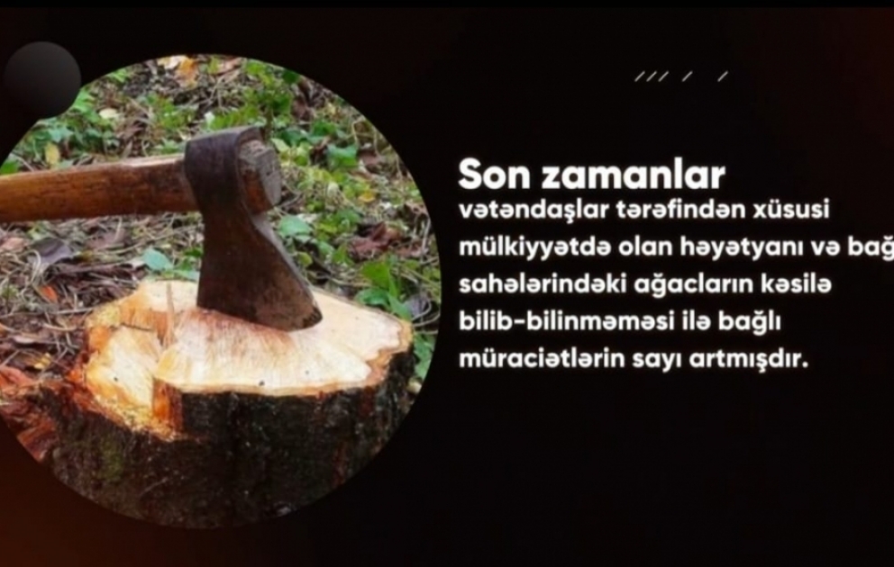 Baş Prokurorluq: #maariflənək həştəqi altında xüsusi mülkiyyətdə olan torpaq sahələrindəki ağacların kəsilə bilinib-bilinməməsi ilə bağlı məlumat verilib VİDEO