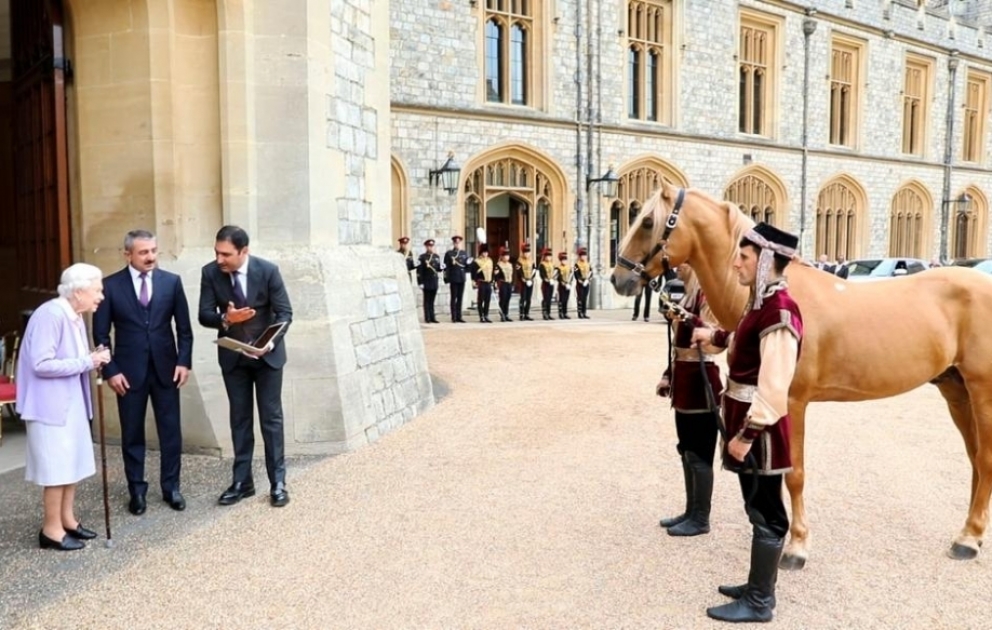 Britaniya Kraliçasına Azərbaycan Prezidentinin hədiyyə etdiyi “Şöhrət” adlı Qarabağ atı təqdim olunub VİDEO
