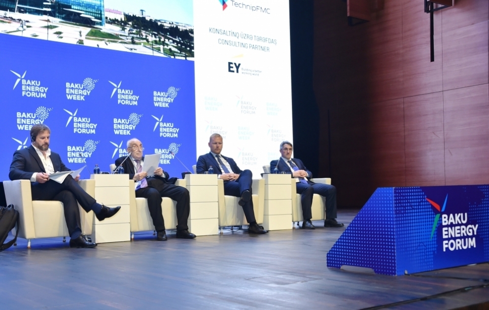 Bakı Enerji Forumu davam edir VİDEO