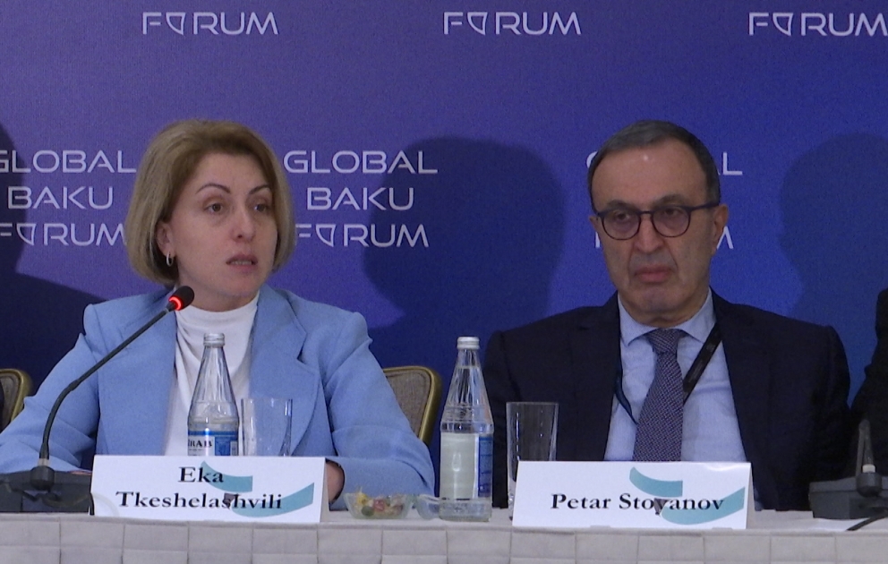 Eka Tkeşelaşvili: Gürcüstan və Azərbaycan münaqişə ilə üzləşmiş ölkələrdir VİDEO