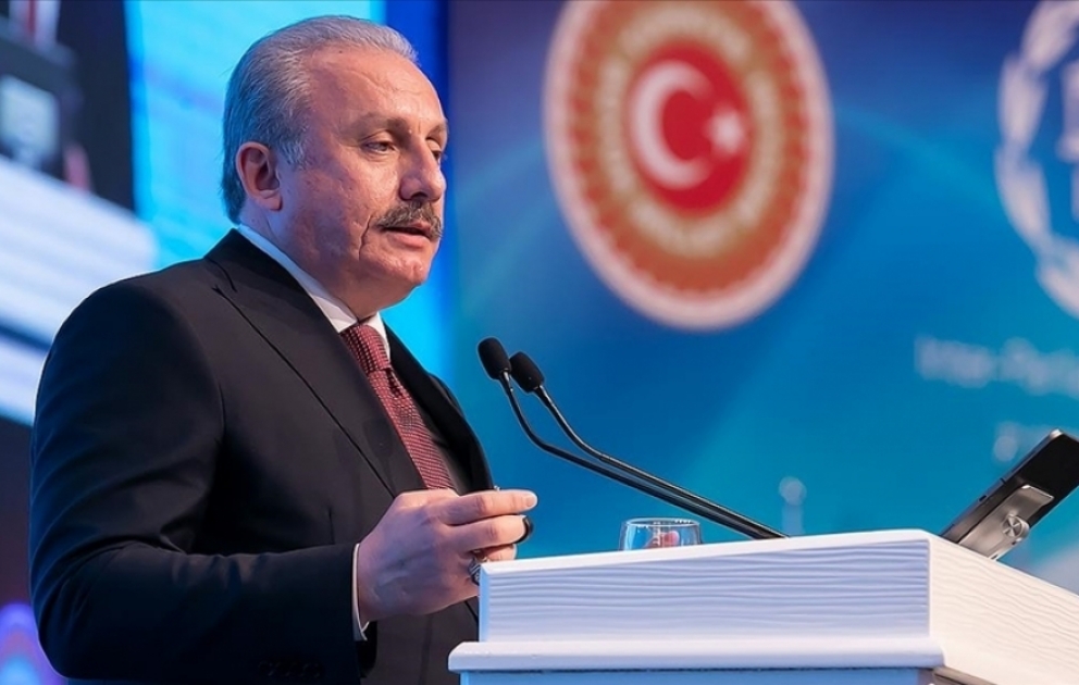 Mustafa Şəntop: Türkiyə olaraq ölkəmizdəki qaçqın və miqrantların hər cür ehtiyaclarını öz gücümüzlə qarşılamağa çalışırıq VİDEO