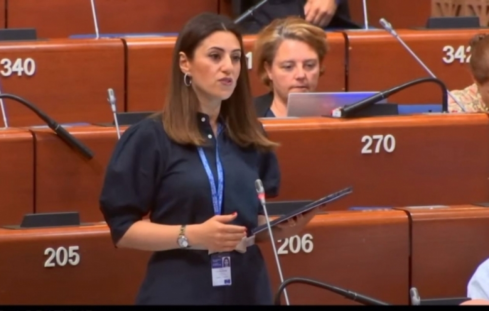 Sevinc Fətəliyeva: Azərbaycan regionda sülhü təşviq edir VİDEO