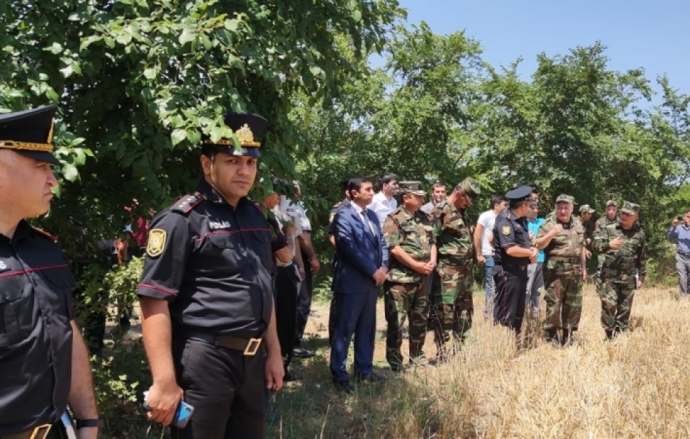 Biçilmiş taxıl sahəsinin yandırılmasına görə fermer məsuliyyət daşıyır VİDEO