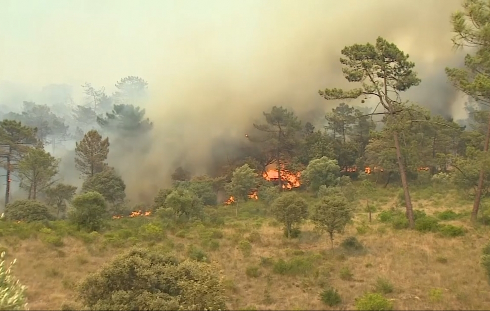 Hitzewelle sorgt für Waldbrände in Portugal VIDEO