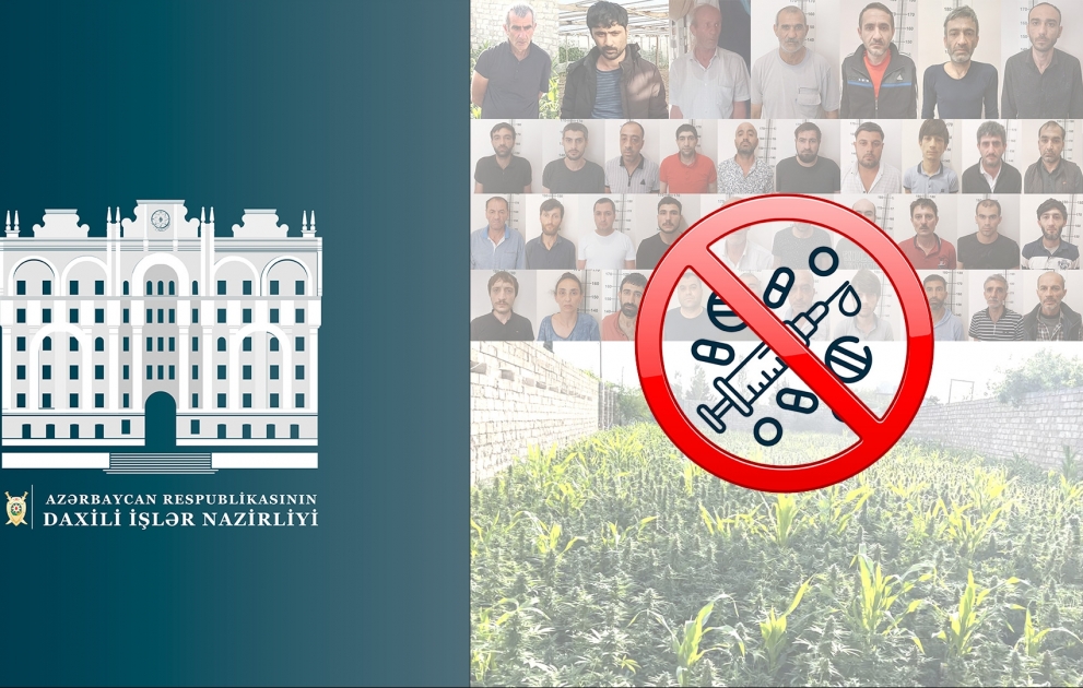 Dörd tona yaxın çətənə kolu və külli miqdarda digər növdən olan narkotik vasitələr qanunsuz dövriyyədən çıxarılıb VİDEO