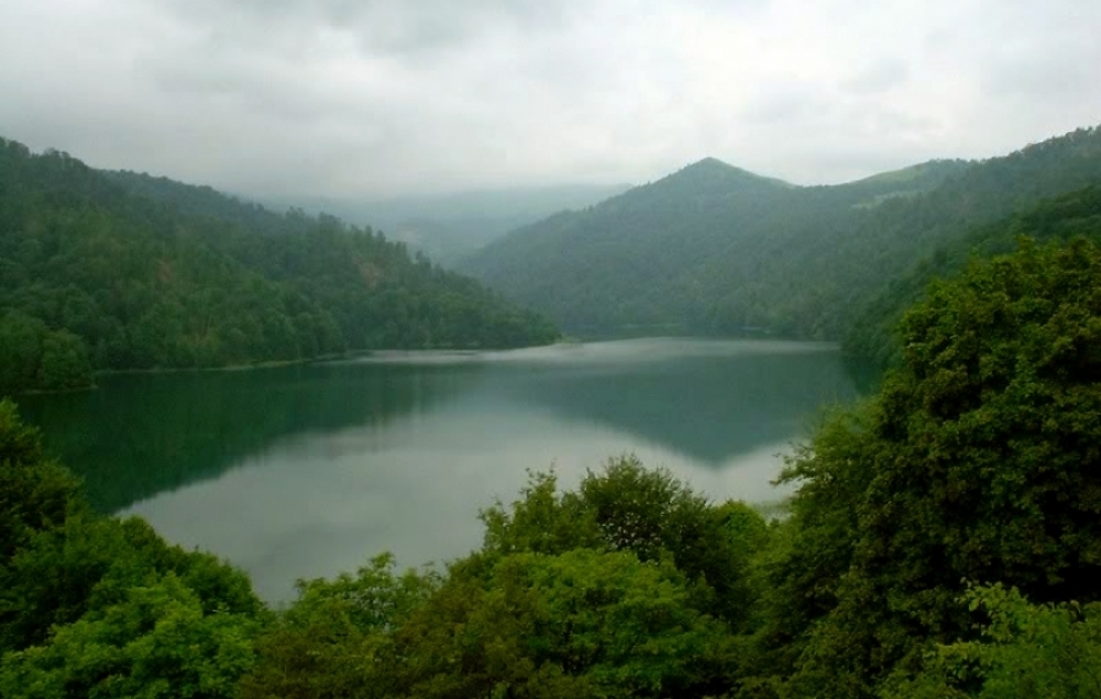 Yeddi ay ərzində milli parkları 147 mindən çox turist ziyarət edib VİDEO