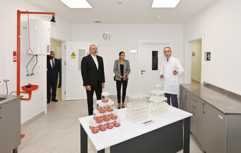 Le président azerbaïdjanais et son épouse visitent une entreprise de la SARL Grand-Agro Invitro, participent à l’inauguration d’une usine de transformation de la SARL Azbadam VIDEO