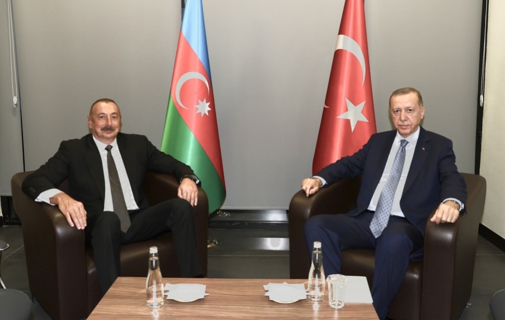 Präsident Ilham Aliyev und Präsident Recep Tayyip Erdogan treffen sich in Konya VIDEO