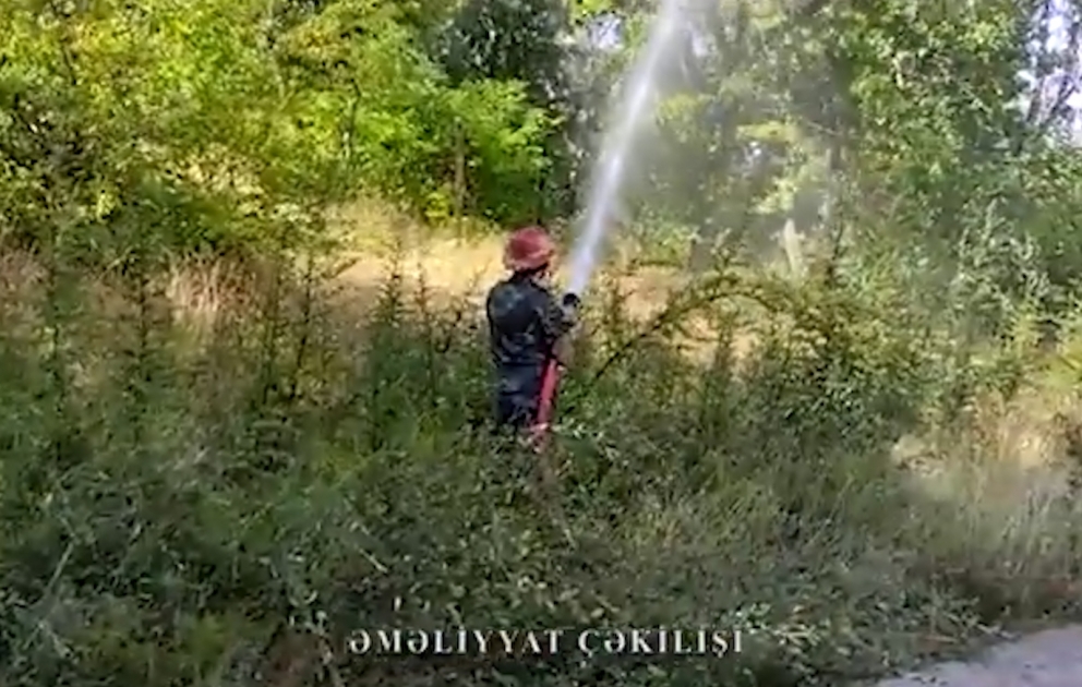 FHN: “Qalaaltı” İstirahət Mərkəzinin yaxınlığındakı yanğının söndürülməsi istiqamətində tədbirlər davam etdirilir VİDEO