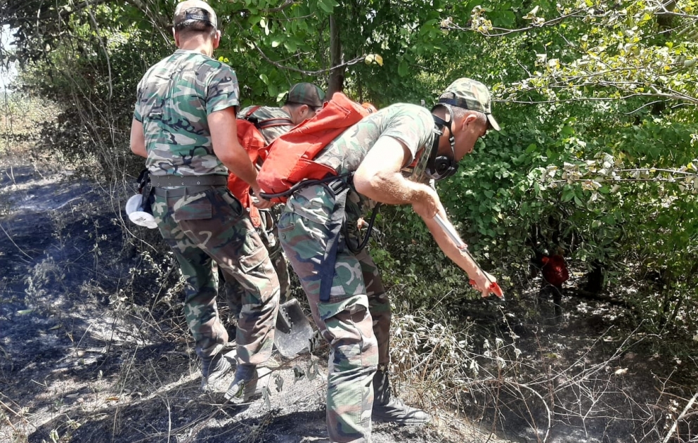 FHN: Azərbaycanın Şimal və Şimal-qərb regionlarında yanğınların söndürülməsi tədbirləri davam etdirilir VİDEO