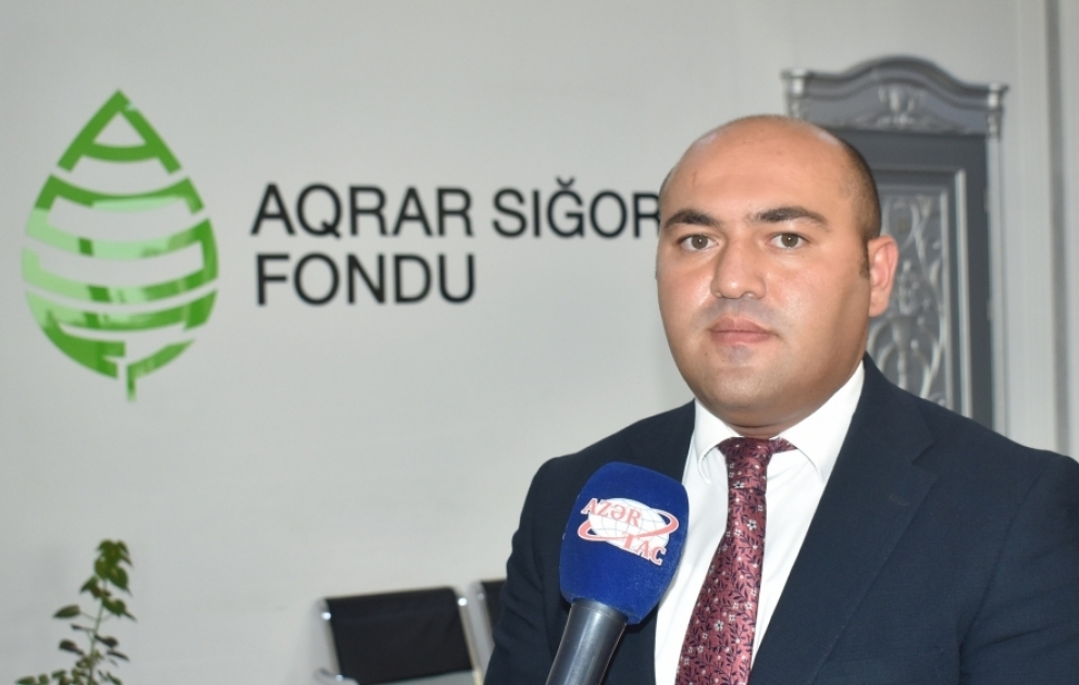 Firdovsi Ağaşirinov: Aqrar Sığorta Fondu risklərin təminatını gələcəkdə də operativ həyata keçirəcək VİDEO