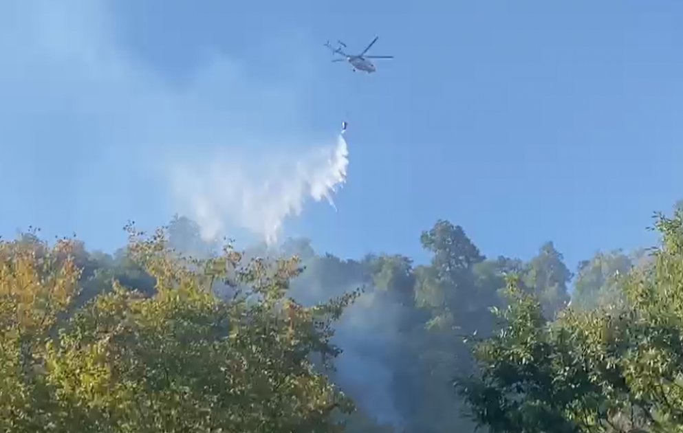 FHN: Masallı rayonunda baş vermiş yanğının söndürülməsi istiqamətində zəruri tədbirlər davam etdirilir VİDEO
