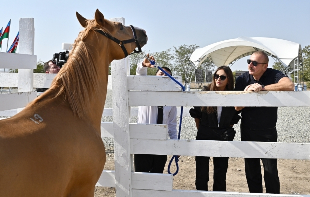 Foundation stone for Horse Breeding Center was laid in Aghdam President Ilham Aliyev and First Lady Mehriban Aliyeva attended the ceremony VIDEO