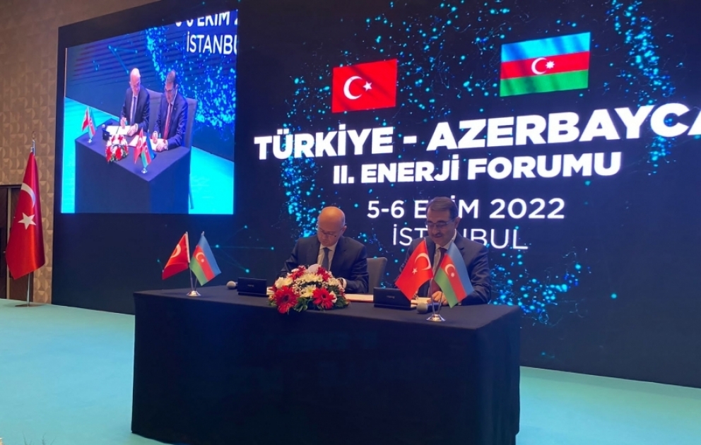 İstanbulda Azərbaycan-Türkiyə II Enerji Forumu keçirilib VİDEO