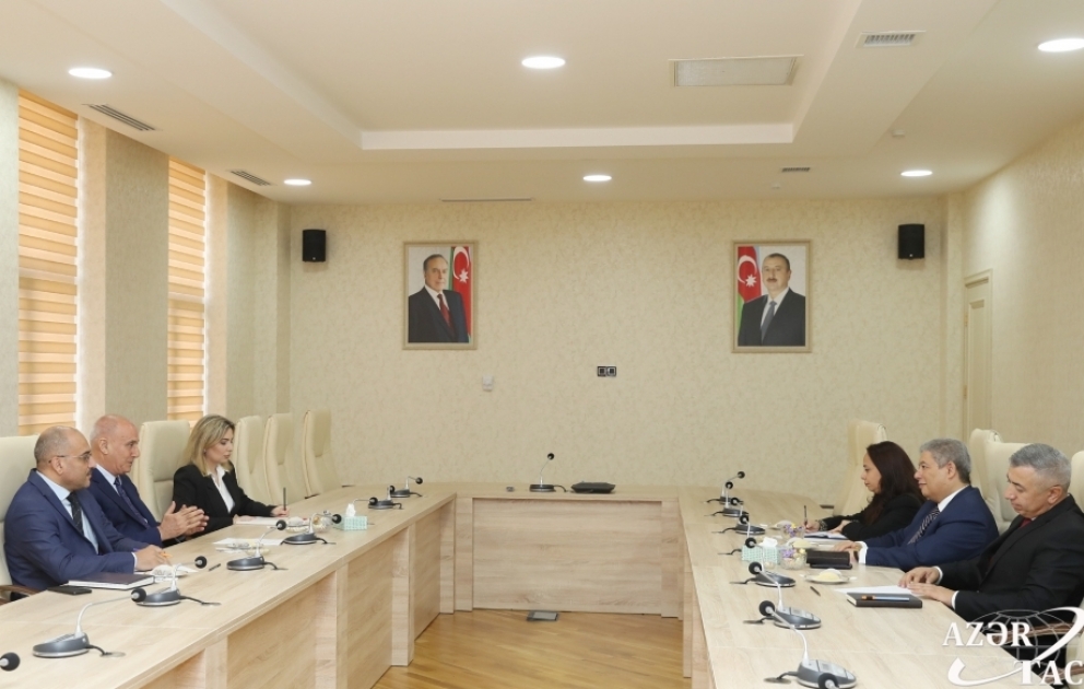 Misir səfiri: AZƏRTAC ilə MENA agentliyi arasında əlaqələrin genişlənməsini dəstəkləməyə hazırıq VİDEO
