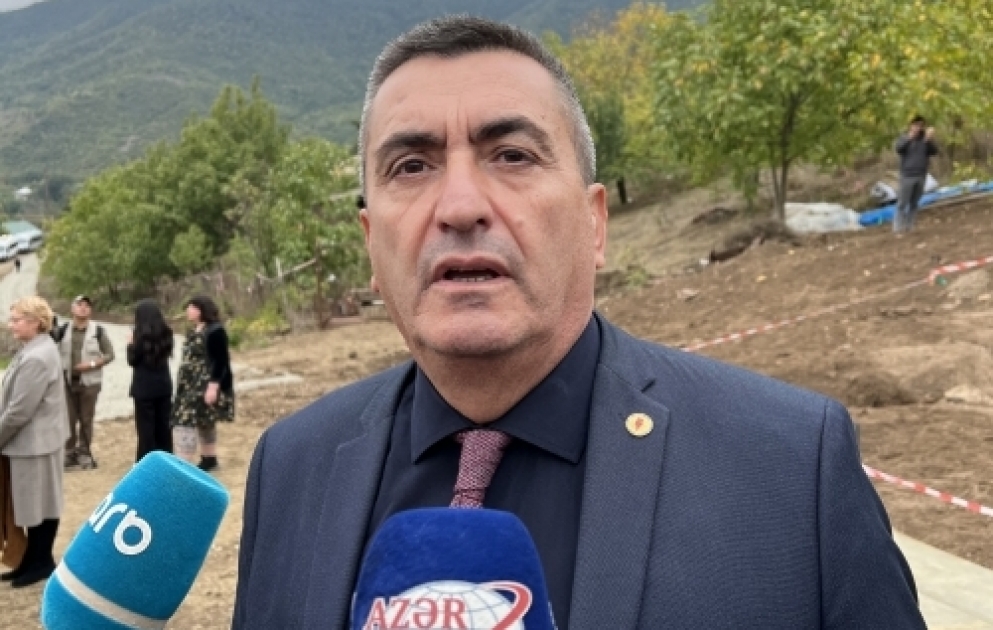 Adnan Fişenk: Edillidə aşkarlanmış kütləvi məzarlığı görəndə dəhşətə gəldim VİDEO