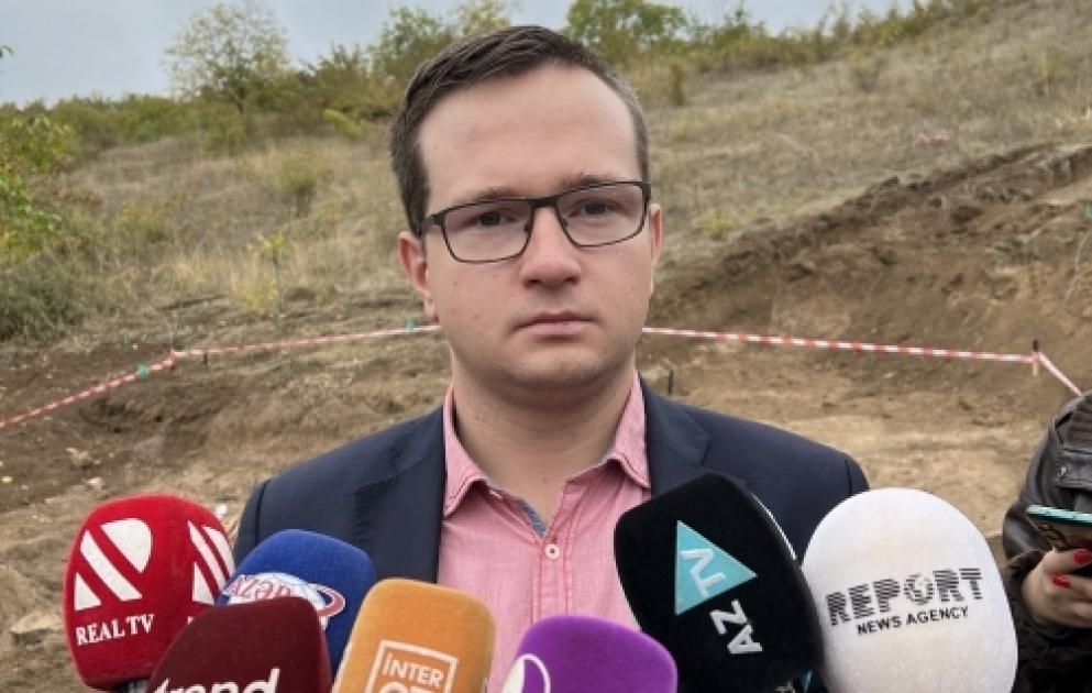 Adrian Pexota: Edillidə baş vermiş hadisələr Cenevrə Konvensiyasına ziddir VİDEO