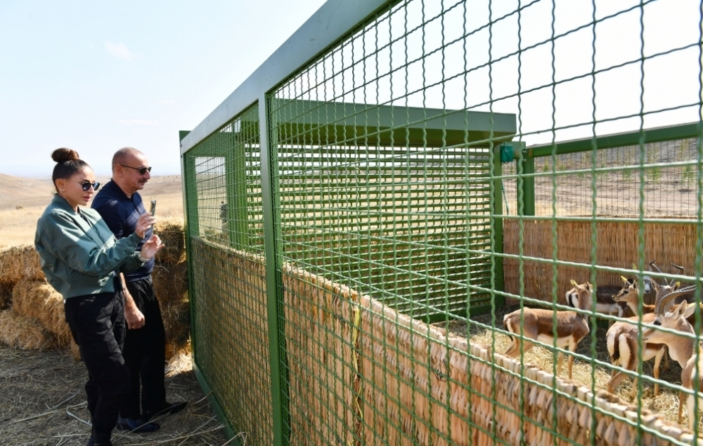 18 gazelles were released to territory of Jabrayil while viewing project of forest training center, smart seedlings and friendship forest complex to be established in the district VIDEO
