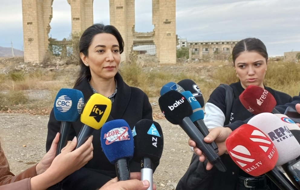Səbinə Əliyeva: ANAMA nümayəndəsinin göstərdiyi faktlar konfrans iştirakçılarını şoka salmışdı VİDEO