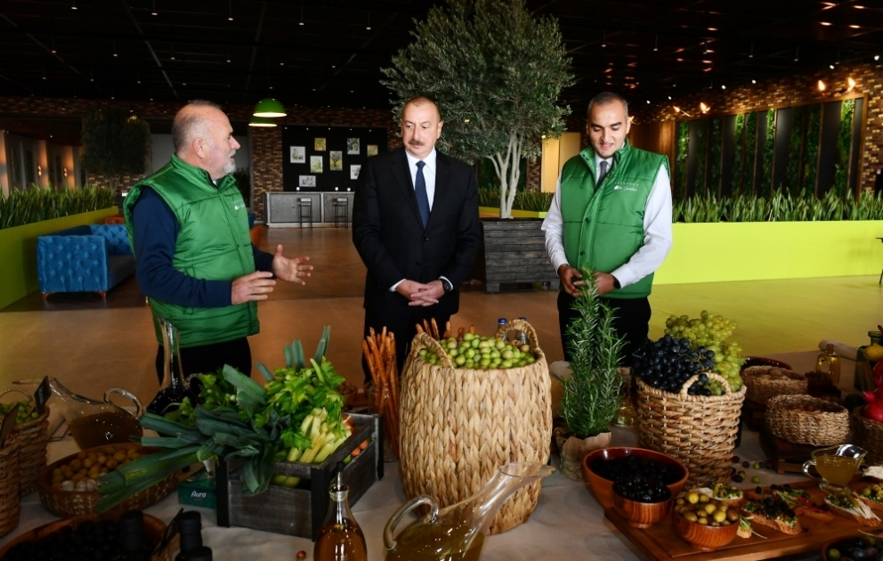President Ilham Aliyev attended opening of olive oil and table olive products processing plant in Zira settlement VIDEO