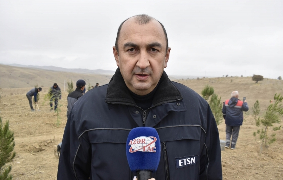 Nazir müavini: “Gələcəyə nəfəs!” kütləvi ağacəkmə aksiyası çərçivəsində bu gün Azərbaycanda 111 min 111 ağac əkiləcək VİDEO