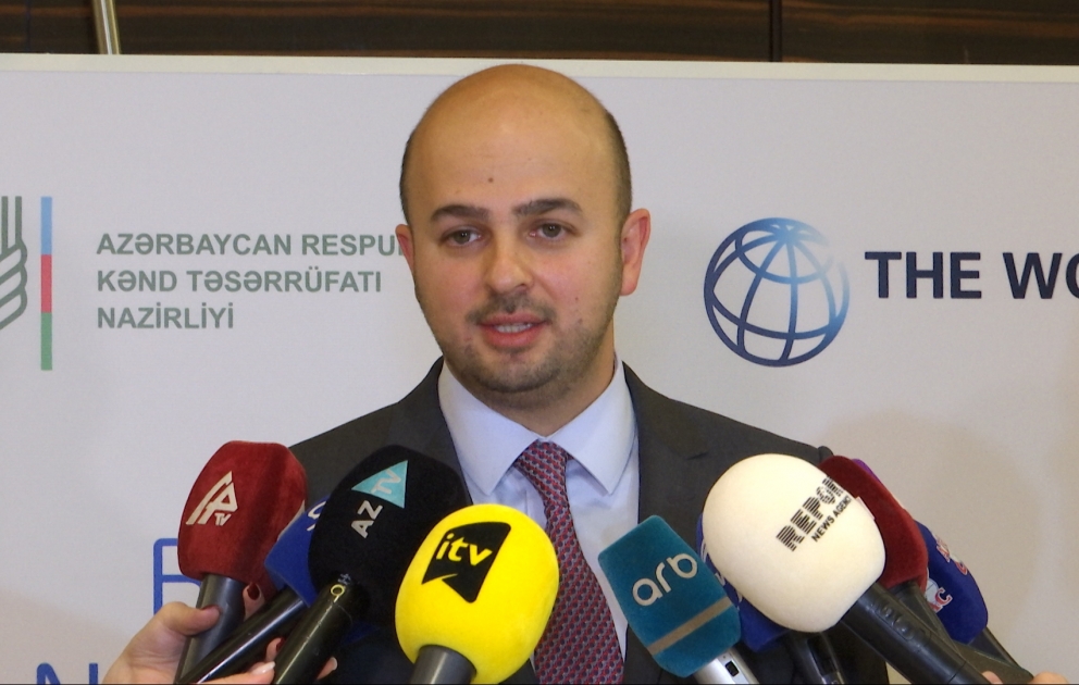 Ağalı kəndində kiçik sahibkarların yerləşdirilməsi üzrə işlər aparılır VİDEO