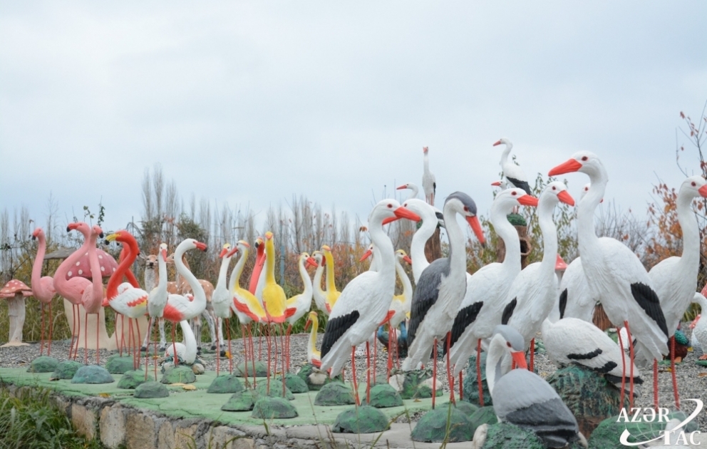 Cansız quş və heyvanların toplaşdığı zoopark FOTO VİDEO