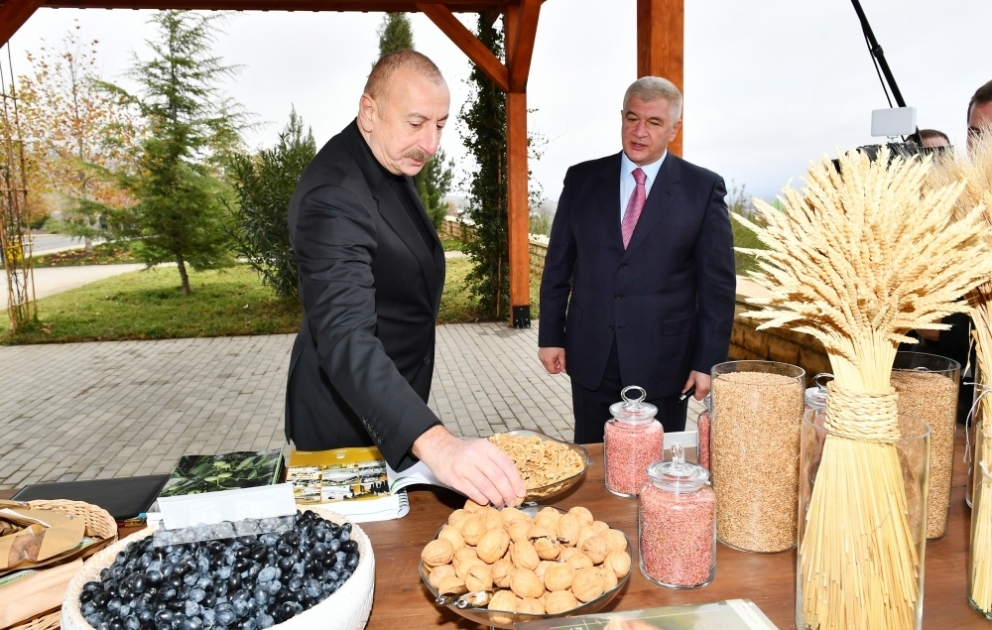 Prezident İlham Əliyev “Şəki-Oğuz” Aqroparkında yaradılan şəraitlə tanış olub YENİLƏNİB VİDEO