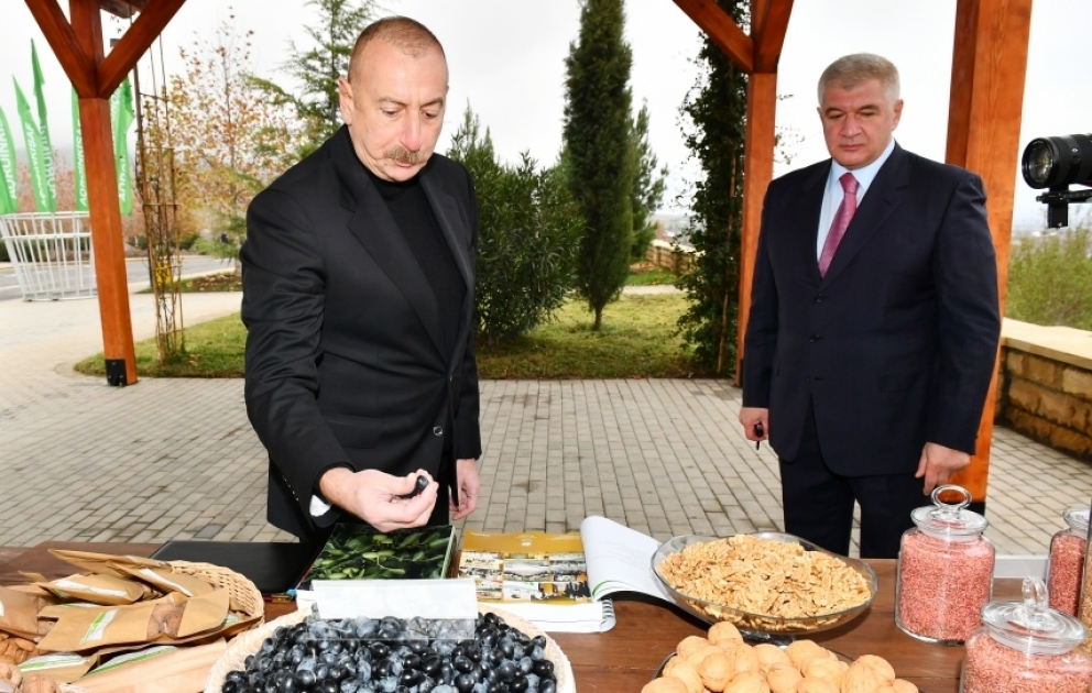 President Ilham Aliyev viewed conditions created at “Shaki-Oghuz” Agropark VIDEO
