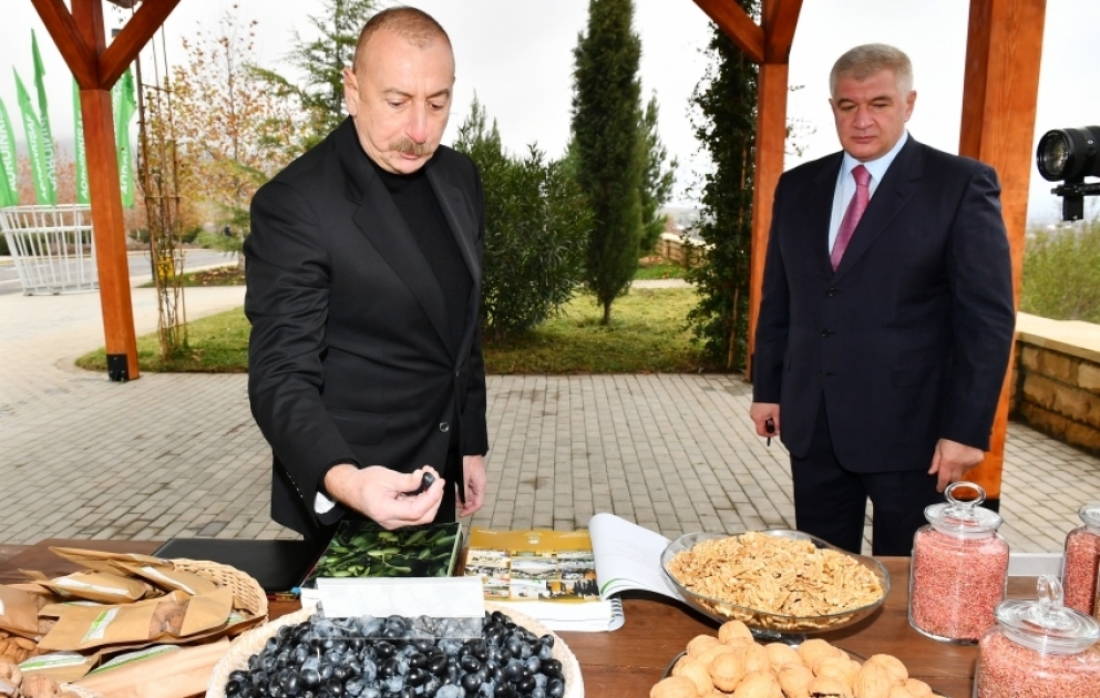 Präsident Ilham Aliyev besucht Agropark “Scheki-Oguz“ geschaffenen Bedingungen VIDEO