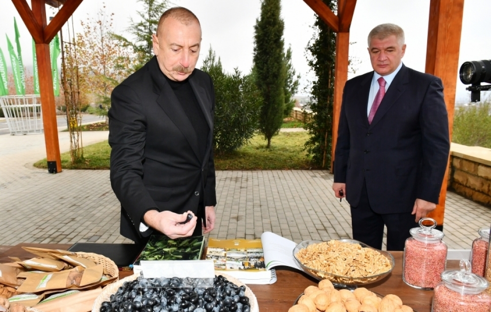 Le président Ilham Aliyev visite l’Agroparc Chéki-Oghouz VIDEO