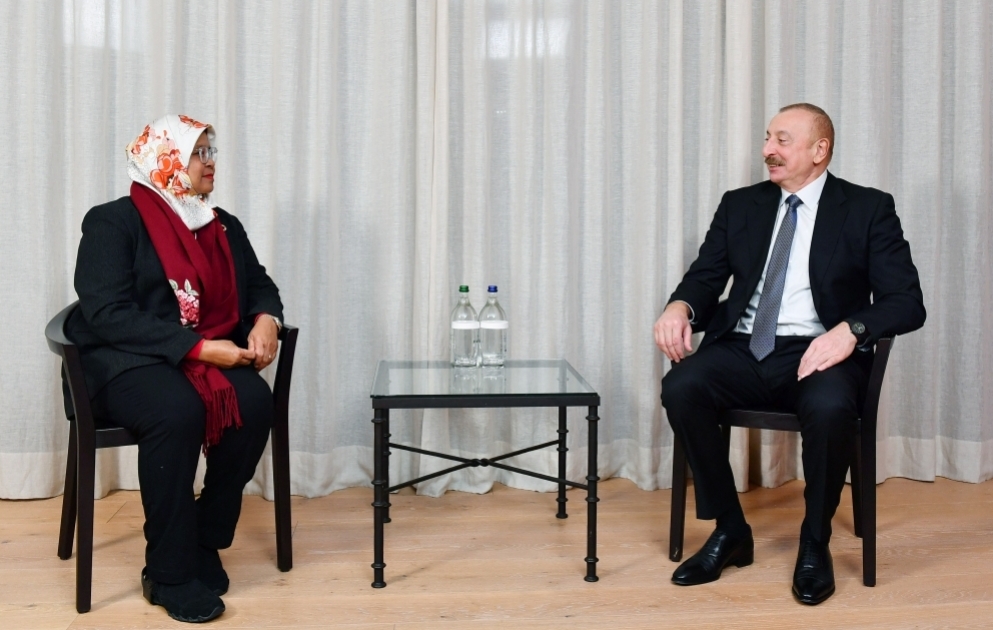 President Ilham Aliyev met with Executive Director of UN Human Settlements Programme in Davos VIDEO