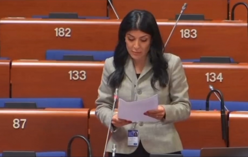 Nigar Arpadarai: Avropa Şurasında islahatların vaxtı yetişib VİDEO