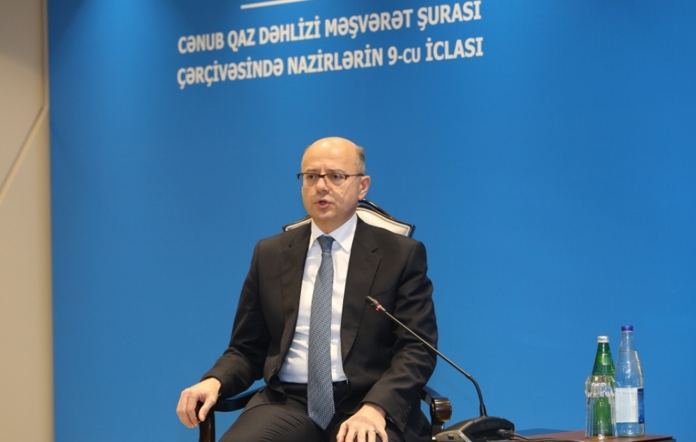 Nazir: Türkiyə ərazisi ilə Balkan ölkələrinə qazın tranziti məsələsi həllini tapıb VİDEO