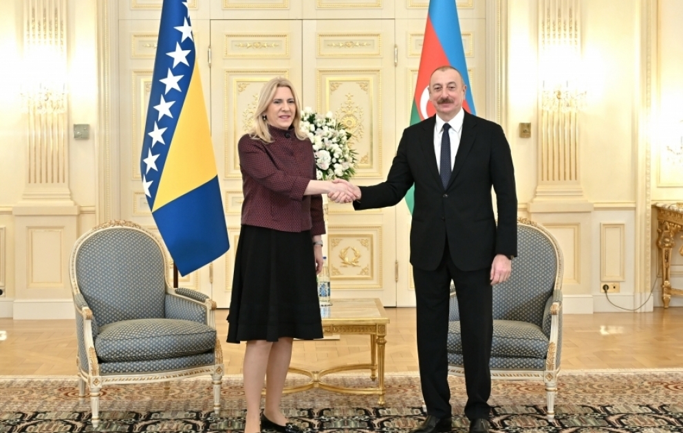 President Ilham Aliyev met with Chairwoman of Presidency of Bosnia and Herzegovina VIDEO