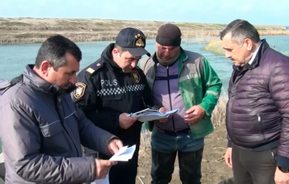 Neftçalada brokonyerlərə qarşı reyd keçirilib VİDEO