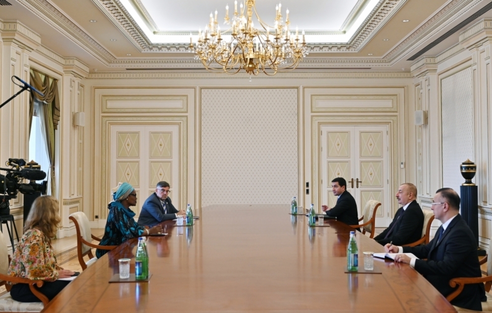 President Ilham Aliyev received Executive Director of Joint United Nations Programme on HIV/AIDS VIDEO