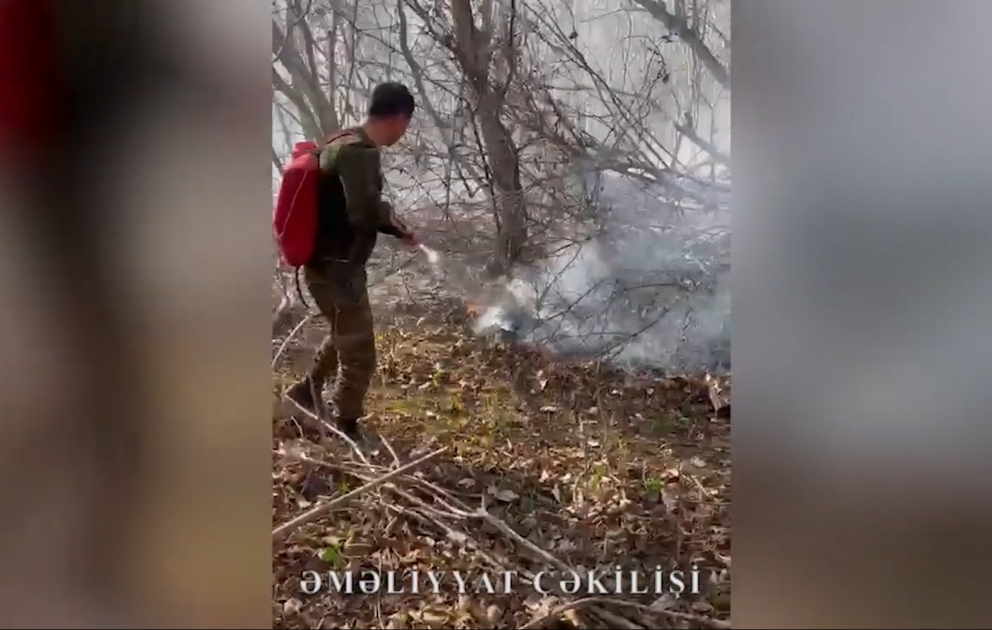 Qəbələdə meşəlik ərazidə baş verən yanğın söndürülüb YENİLƏNİB VİDEO