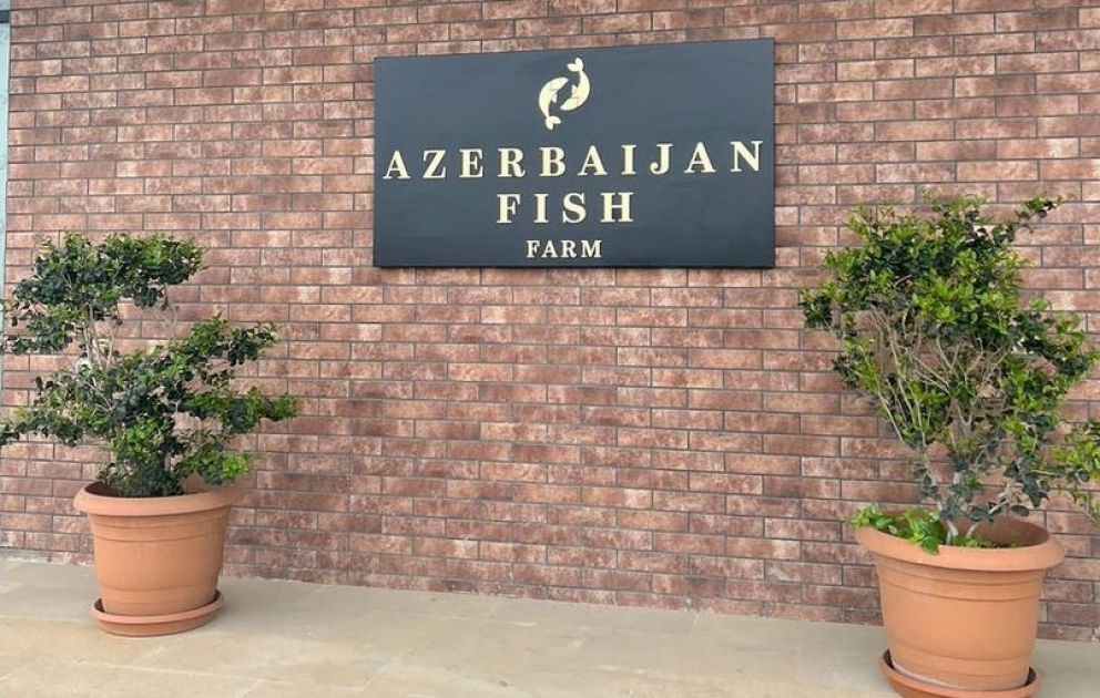 First Vice-President Mehriban Aliyeva shared Instagram post about Neftchala district trip VIDEO