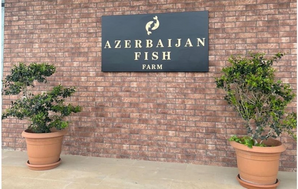 La première vice-présidente Mehriban Aliyeva partage sur Instagram une publication depuis Neftchala VIDEO