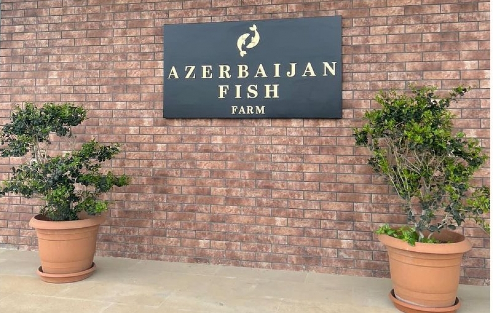 Erste Vizepräsidentin Mehriban Aliyeva teilt Beitrag aus Region Neftchala auf Instagram VIDEO