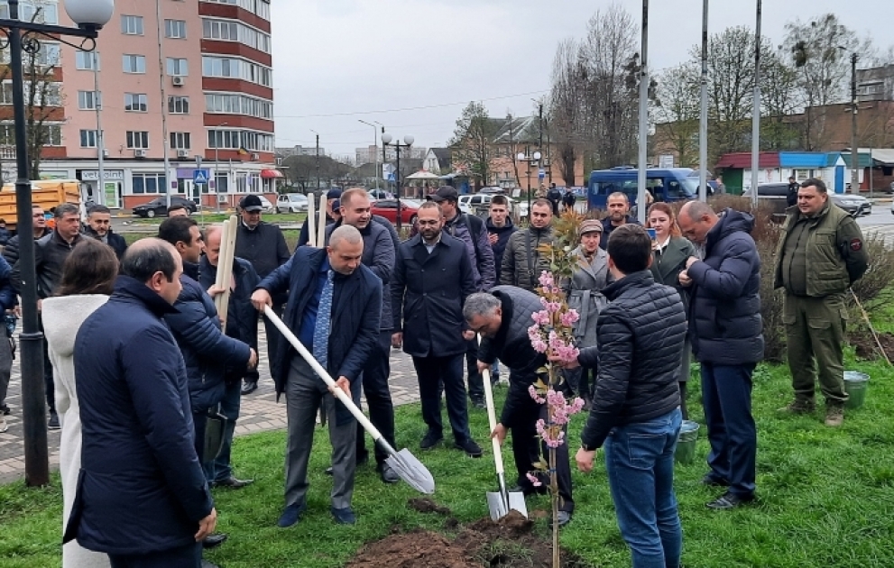 Ulu Öndərin 100 illiyi münasibətilə Kiyevdə Sakura ağacları əkilib VİDEO
